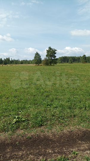 Участок 5 га (СНТ, ДНП)