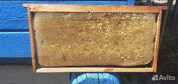 Рамки с сушью для пчёл