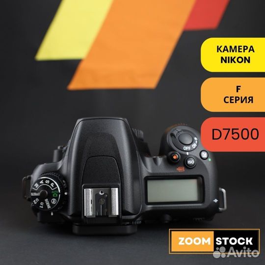 Nikon D7500