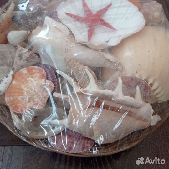 Набор ракушек для аквариума