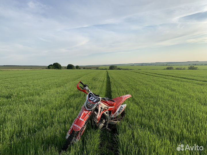 Motoland wrx 250 lite