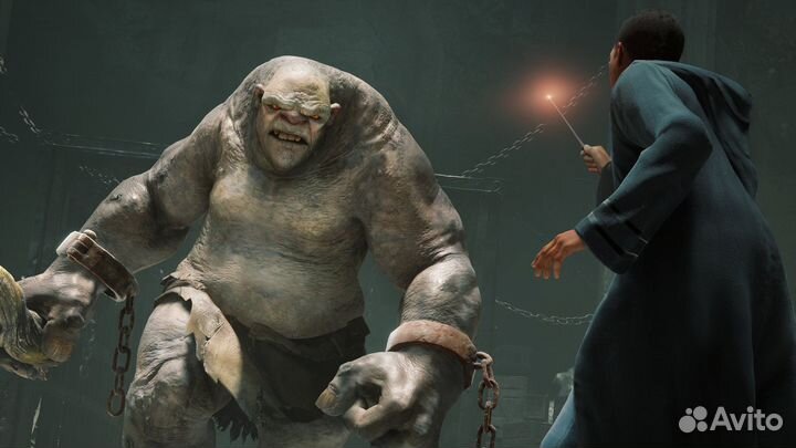 Hogwarts Legacy Deluxe Edition PS4/PS5 на Русском