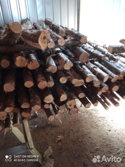 Можжевельник стволы