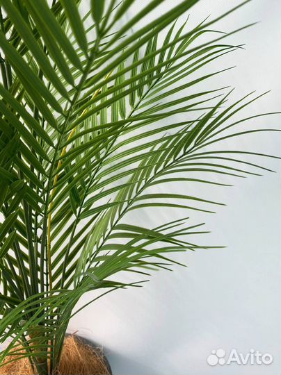 Пальма искусственная декоративная в кашпо