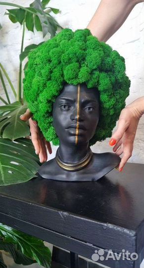 Грут, кашпо со стабилизированным мхом