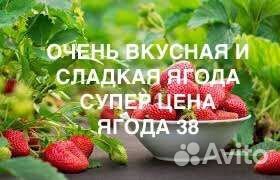 Клубника