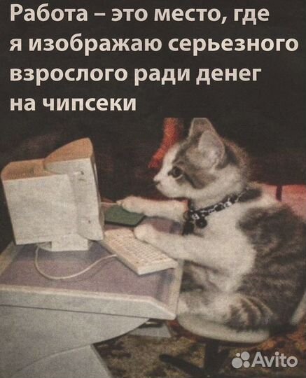 Помощь студентам: Статья/Реферат