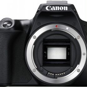 Canon EOS 250D Body