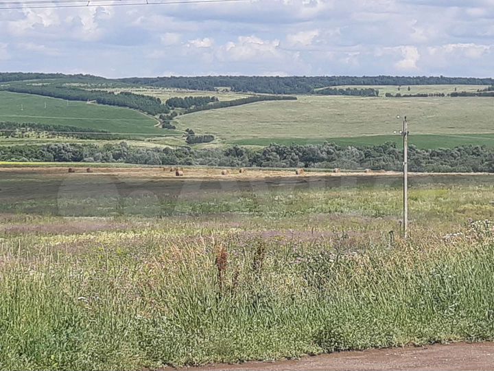 Участок 84 га (СНТ, ДНП)