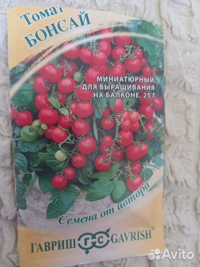 Рассада томаты и перцы