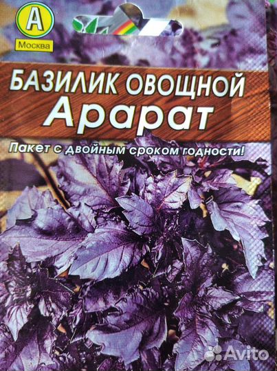 Базилик рассада