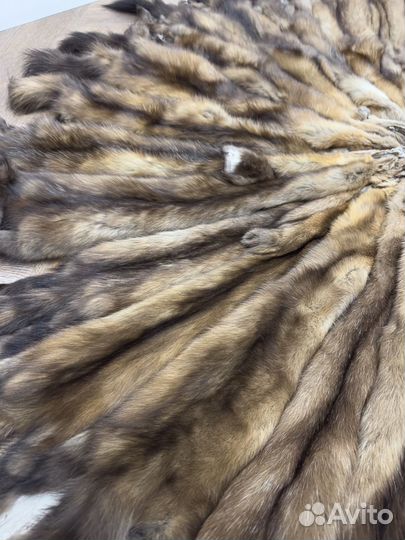 Соболь светлый мех шкурки набор