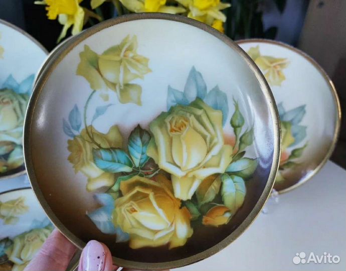 Набор фарфор Thomas Германия