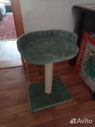 Когтеточка