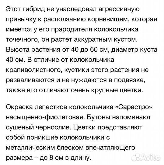 Колокольчик Сарастро