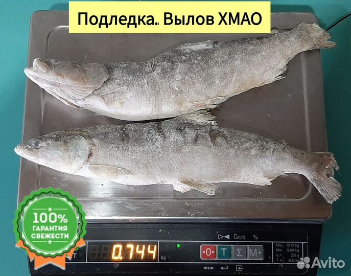 Рыба для гриля. Из хмао