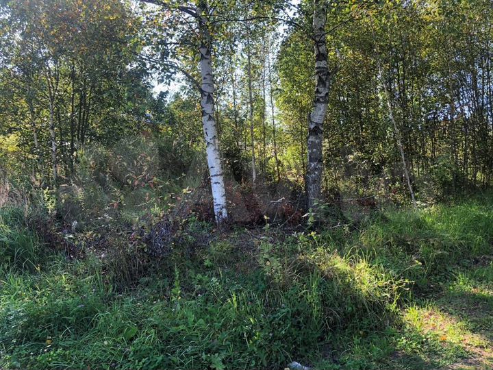 Участок 6 сот. (СНТ, ДНП)