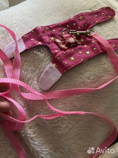 Шлейка поводок для грызунов, крыс