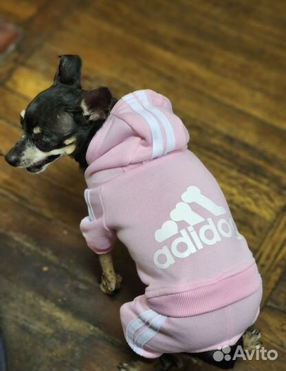 Костюм для собак