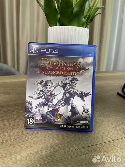 Divinity original sin ps4