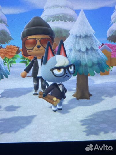 Жители Animal Crossing Реймонд и другие