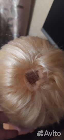 Кукла анотамическач jaggers