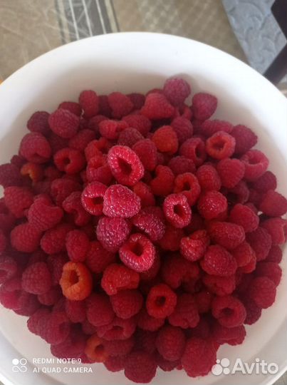 Малина ягода