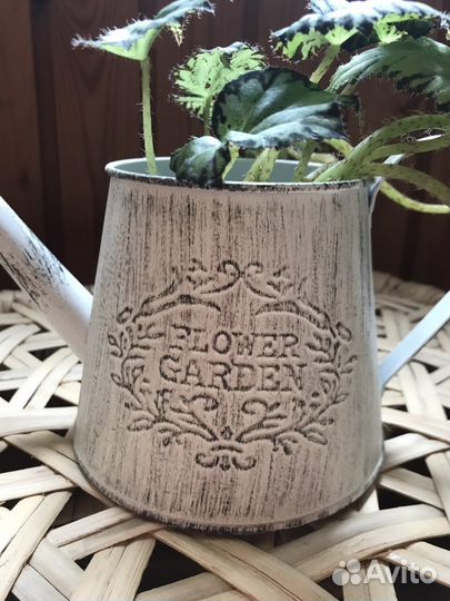 Кашпо / Лейка и Кувшин - Прованс