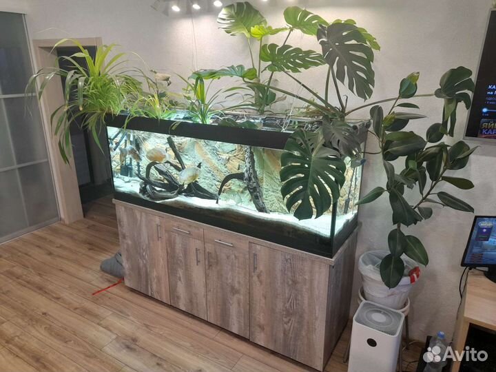 Аквариум 500 литров