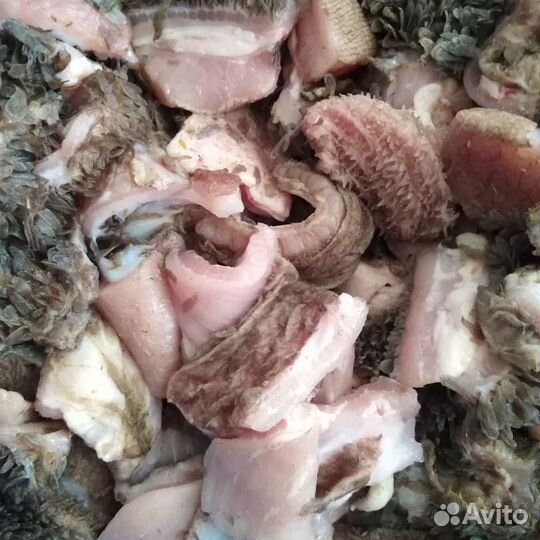 Субпродукты и мясо для собак