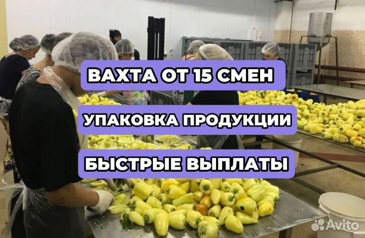 Разнорабочий/Комплектовщик/Вахта/Работа для всех