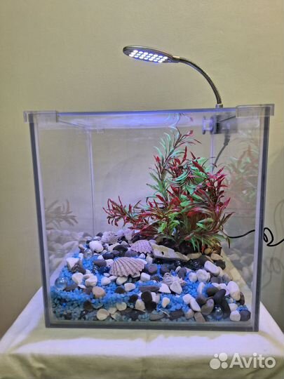 Аквариум