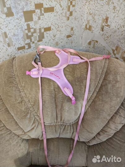 Одежда для собак мелких пород