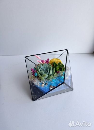 Флорариум с суккулентами