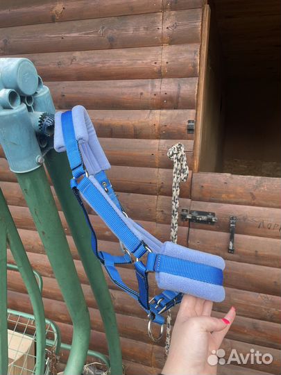 Недоуздок для лошади