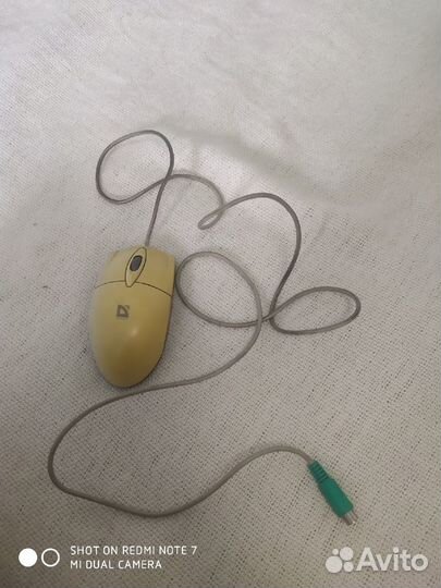 Компьютерная мышка (Оптическая)