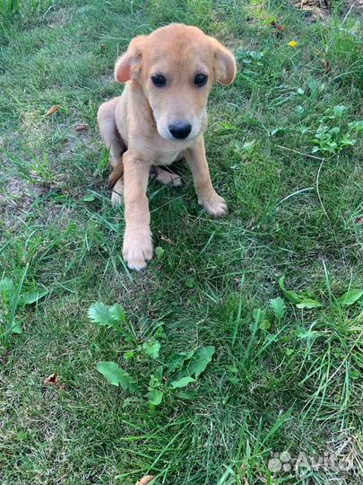 Помогите малышам