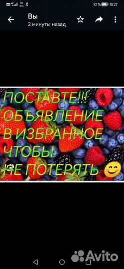 Клубничка киргизии