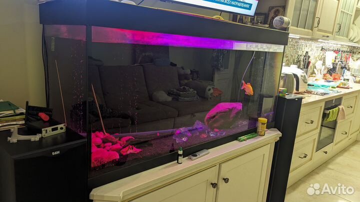 Аквариум