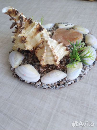Сувениры из ракушек