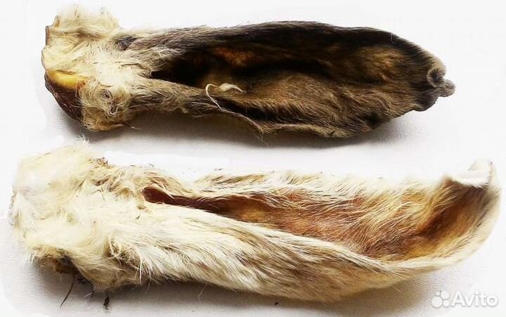 Лакомство для собак