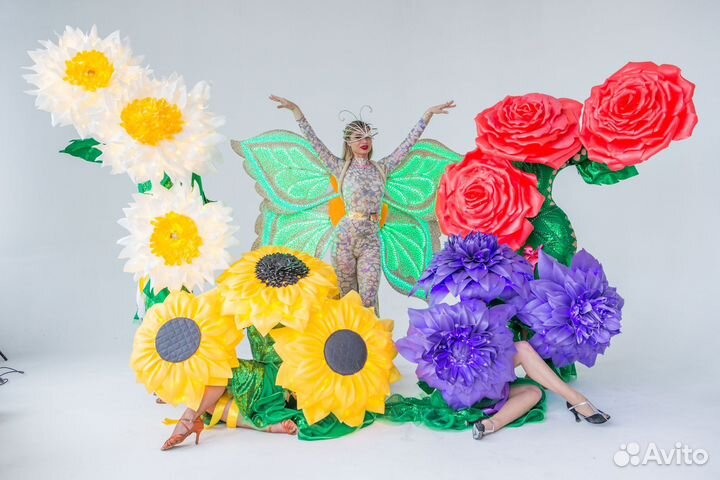 Артисты на праздник калининград