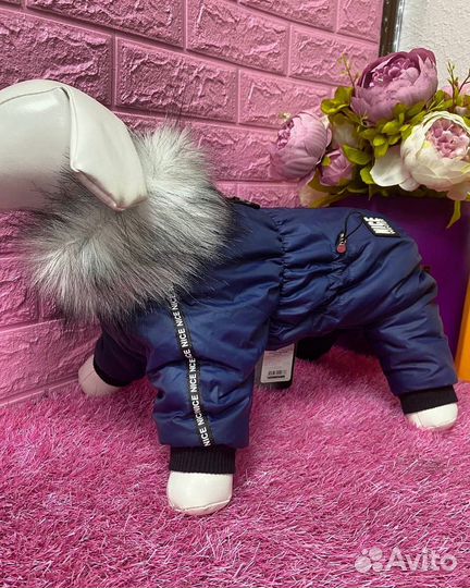 Зимний комбинезон для собак