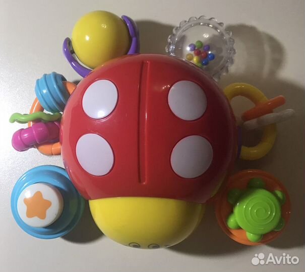 Божья коровка