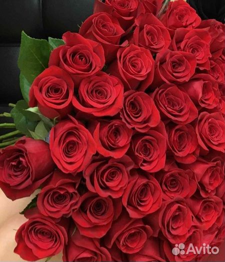 Розы красные на доставку