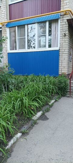 3-к. квартира, 68,4 м², 1/5 эт.