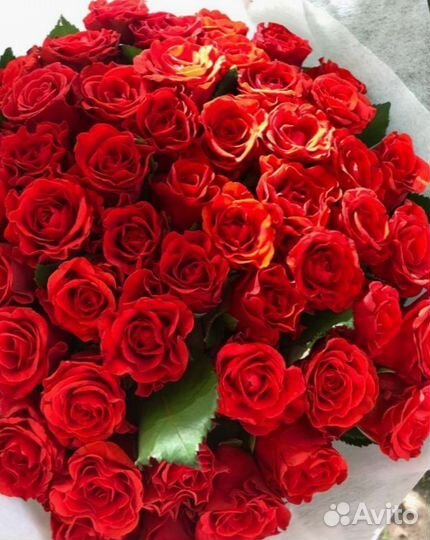 101 роза букеты