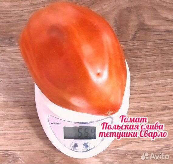 Семена томатов