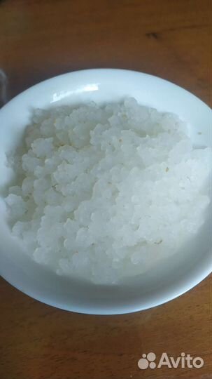 Индийский морской рис. Зооглея