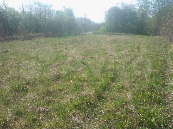 Участок 10 сот. (СНТ, ДНП)